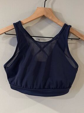 OFFLINE Aerie Navy Mesh Strappy Sports Bra
